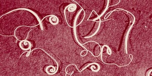 foto de parásitos del cuerpo humano