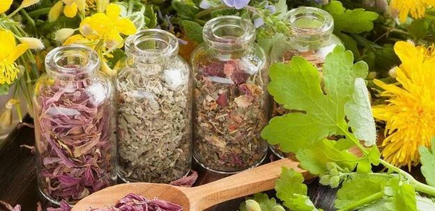 Hierbas para limpiar el cuerpo de parásitos.