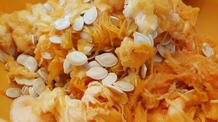 pulpa de calabaza y semillas para parásitos