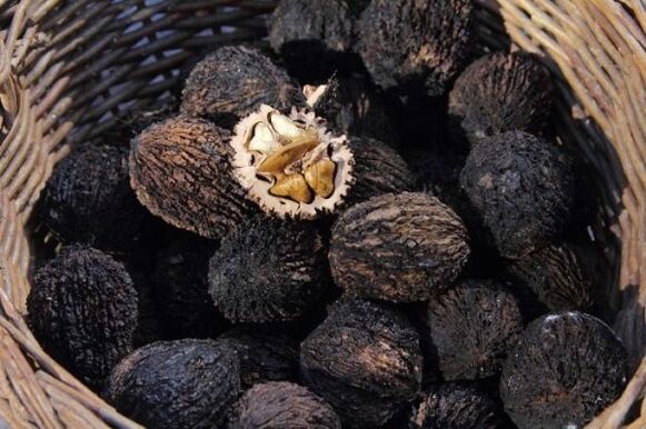 nuez negra para parásitos